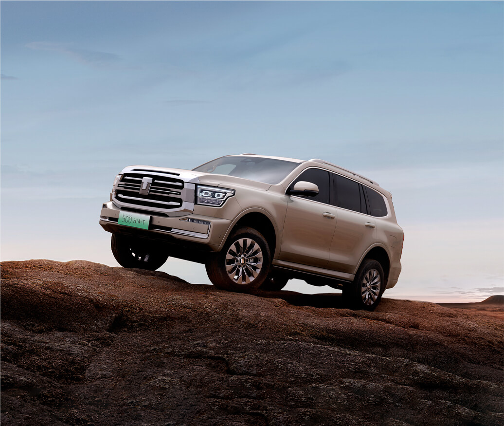 365英国上市公司(集团)官方网站-Global Platform